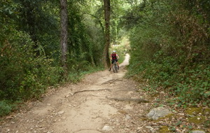 Sortie du 16 Sept 2026