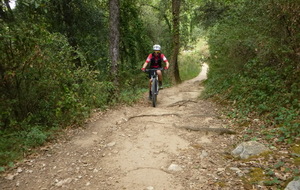 Sortie du 16 Sept 2026