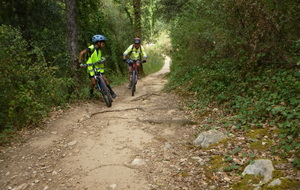 Sortie du 16 Sept 2026