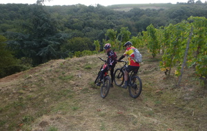 Sortie du 5 Oct 2026