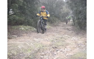 Sortie du 29 Déc 2025