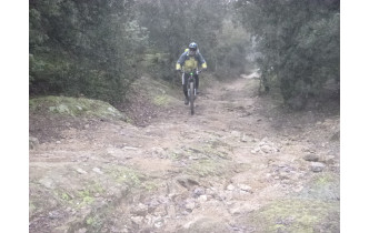 Sortie du 29 Déc 2025