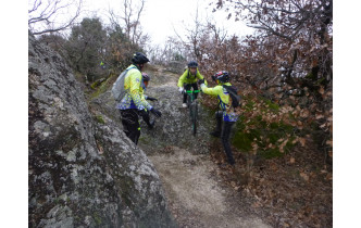 Sortie du 21 Jan 2026