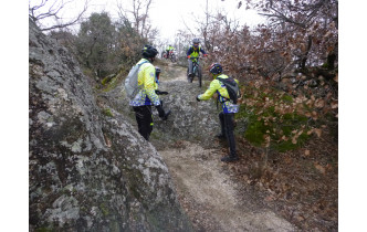 Sortie du 21 Jan 2026