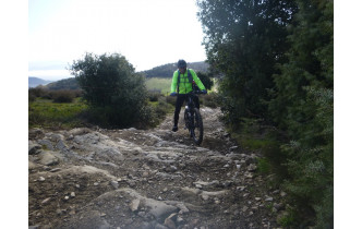 Sortie du 23 Mars 2026