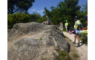 Sortie du 20 Mai 2026
