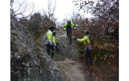 Sortie du 21 Jan 2026