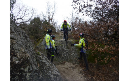 Sortie du 21 Jan 2026