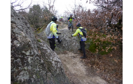 Sortie du 21 Jan 2026