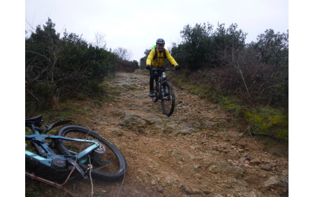 Sortie du 2 Février 2026