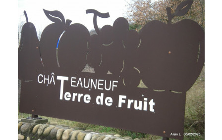 Sortie du 6 Février 2026