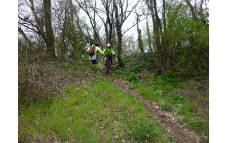 Sortie du 11 Mars 2026