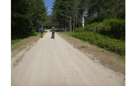 Sortie du 8 Juin 2026