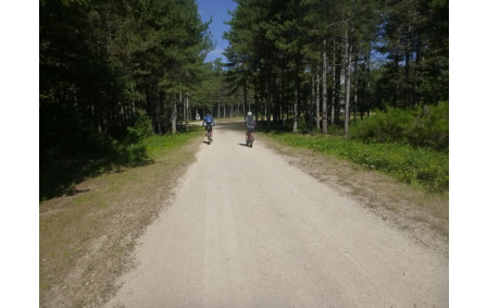 Sortie du 8 Juin 2026