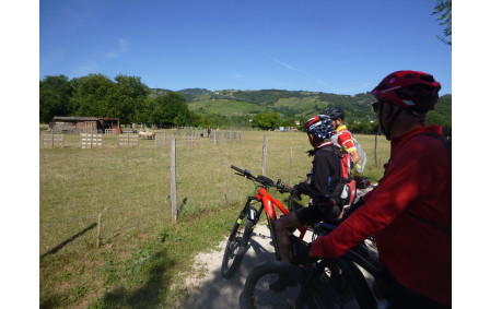 Sortie du 15 Juin 2026