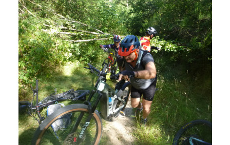 Sortie du 6 Juillet 2026