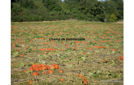 Sortie du16 Oct 2026