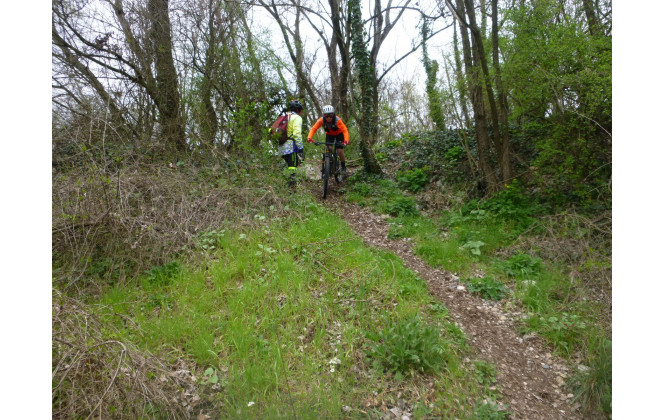 Sortie du 11 Mars 2026